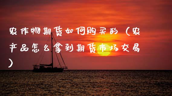 农作物期货如何购买的（农产品怎么拿到期货市场交易）