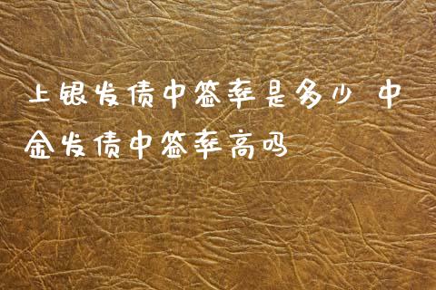 上银发债中签率是多少 发债中签率高吗