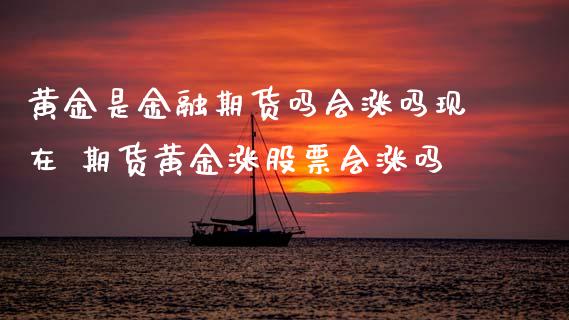 黄金是金融期货吗会涨吗现在 期货黄金涨股票会涨吗