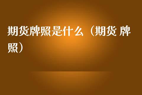 期货是什么（期货 ）