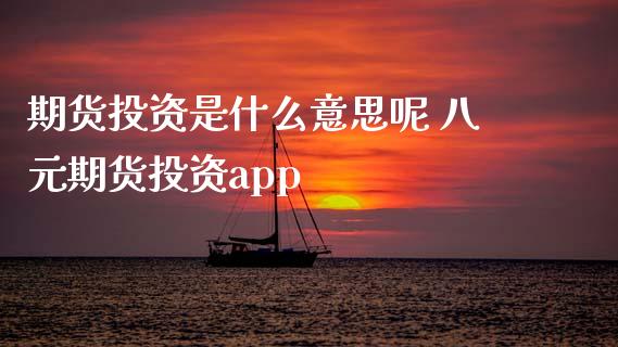 期货投资是什么意思呢 八元期货投资app