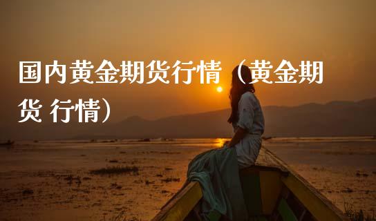 国内黄金期货行情（黄金期货 行情）