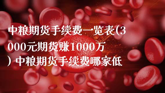 期货手续费一览表(3000元期货赚1000万) 期货手续费哪家低