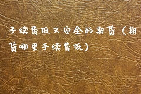 手续费低又安全的期货（期货哪里手续费低）