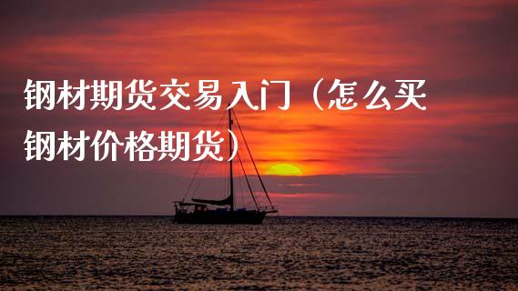 钢材期货交易入门（怎么买钢材价格期货）