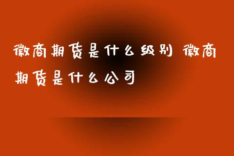 徽商期货是什么级别 徽商期货是什么公司