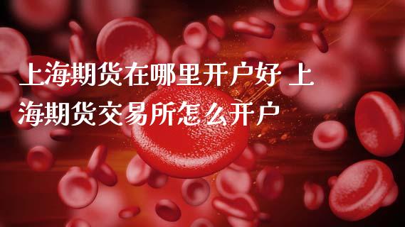 上海期货在哪里开户好 上海期货交易所怎么开户