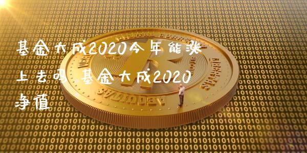 基金大成2020今年能涨上去吗 基金大成2020净值