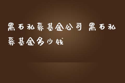 黑石私募基金公司 黑石私募基金多少钱_基金理财_第1张_宇龙理财网 黑石私募基金公司 黑石私募基金多少钱_https://www.dglong8.com_基金理财_第1张