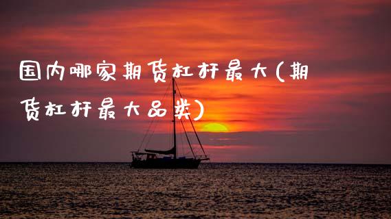 国内哪家期货杠杆最大(期货杠杆最大品类)