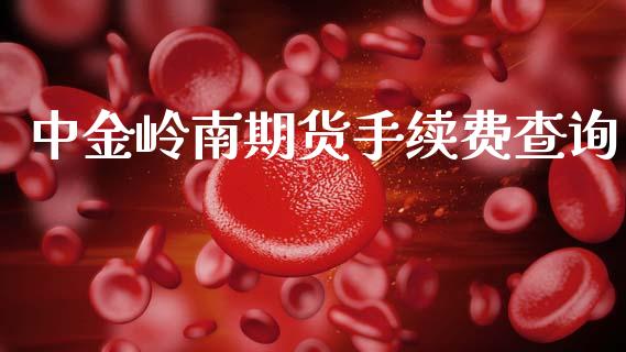 岭南期货手续费查询