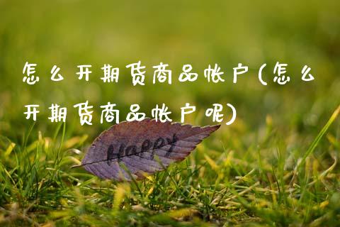 怎么开期货商品帐户(怎么开期货商品帐户呢)