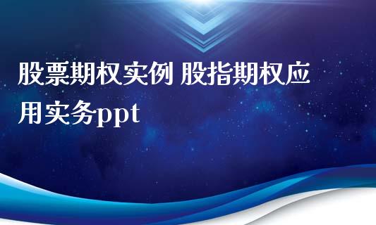 股票期权实例 股指期权应用实务ppt