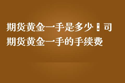 期货黄金一手是多少盎司 期货黄金一手的手续费