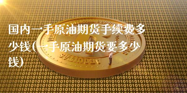 国内一手原油期货手续费多少钱(一手原油期货要多少钱)