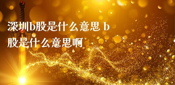 深圳b股是什么意思 b 股是什么意思啊