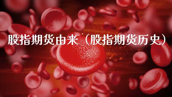 股指期货由来（股指期货历史）