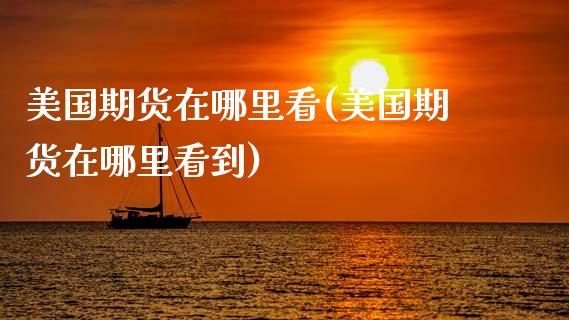 美国期货在哪里看(美国期货在哪里看到)