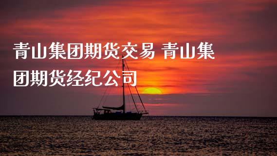 青山集团期货交易 青山集团期货经纪公司