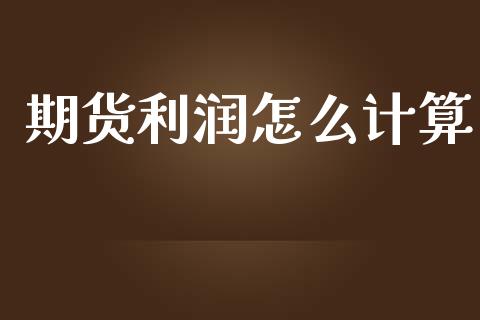 期货利润怎么计算