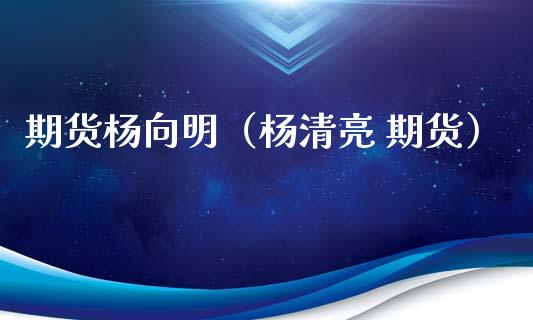 期货杨向明（杨清亮 期货）_https://www.dglong8.com_恒生指数_第1张