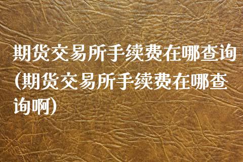 期货交易所手续费在哪查询(期货交易所手续费在哪查询啊)