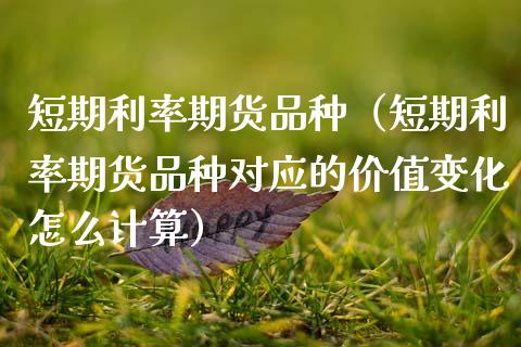 短期利率期货品种(短期利率期货品种对应的价值变化怎么计算)_黄金期货_第1张_宇龙理财网 短期利率期货品种(短期利率期货品种对应的价值变化怎么计算)_https://www.dglong8.com_黄金期货_第1张