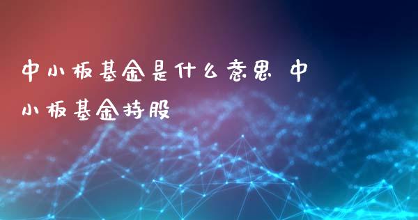 中小板基金是什么意思 中小板基金持股