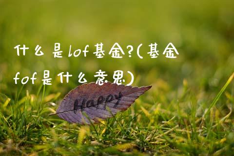 什么是lof基金?(基金fof是什么意思)