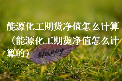 能源化工期货净值怎么计算（能源化工期货净值怎么计算的）