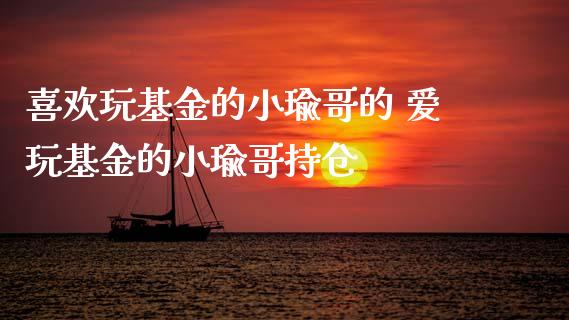 喜欢玩基金的小瑜哥的 爱玩基金的小瑜哥持仓