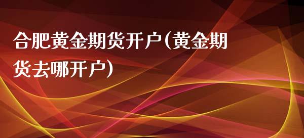 合肥黄金期货开户(黄金期货去哪开户)