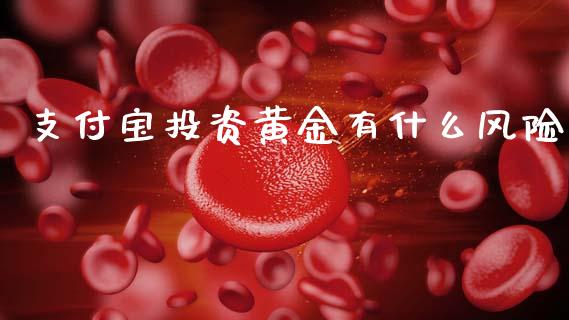 支付宝投资黄金有什么风险_https://www.dglong8.com_财经要闻_第1张