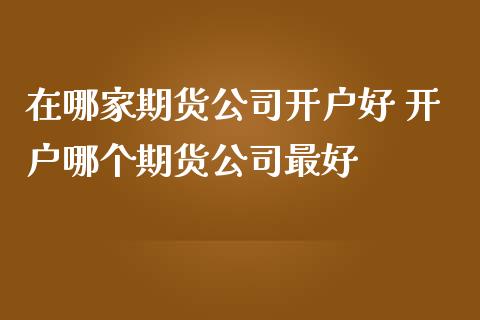 在哪家期货公司开户好 开户哪个期货公司最好_https://www.dglong8.com_理财百科_第1张