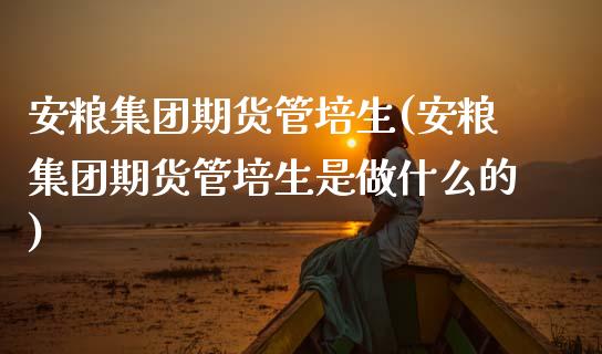 安粮集团期货管培生(安粮集团期货管培生是做什么的)