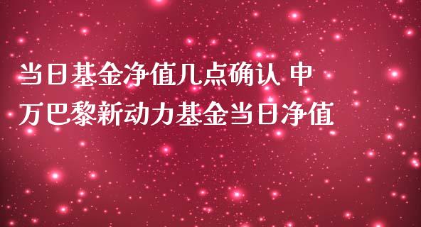 当日基金净值几点确认 申万巴黎新动力基金当日净值