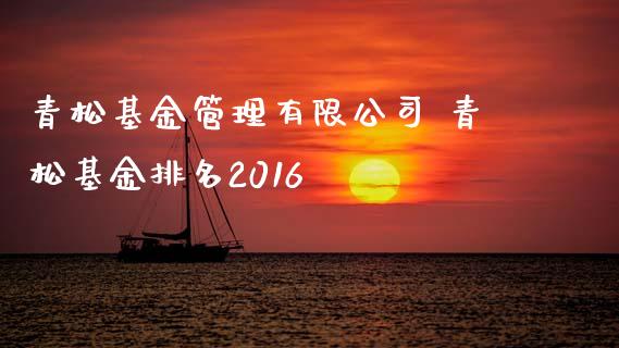 青松基金管理有限公司 青松基金排名2016