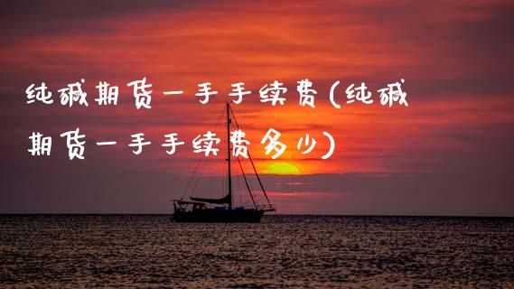 纯碱期货一手手续费(纯碱期货一手手续费多少)