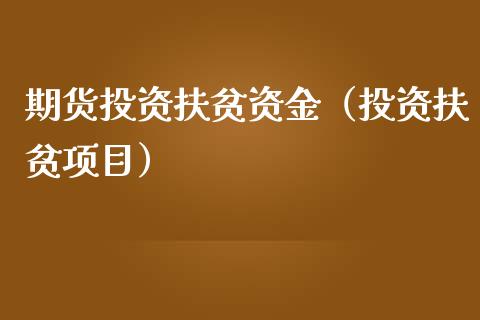 期货投资扶贫资金（投资扶贫项目）