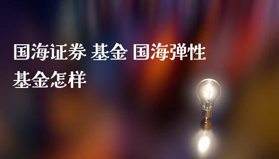 国海证券 基金 国海弹性基金怎样