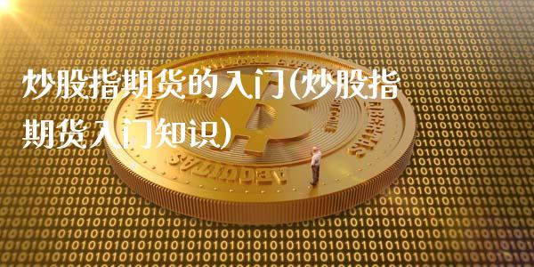 炒股指期货的入门(炒股指期货入门知识)