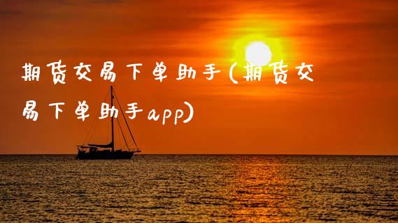 期货交易下单助手(期货交易下单助手app)