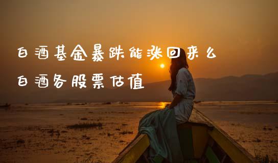 白酒基金暴跌能涨回来么 白酒各股票估值