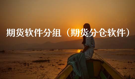 期货软件分组（期货分仓软件）