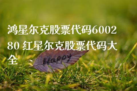鸿星尔克股票代码600280 红星尔克股票代码大全