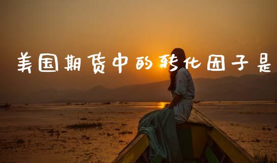 美国期货中的转化因子是