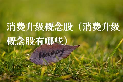 消费升级概念股（消费升级概念股有哪些）