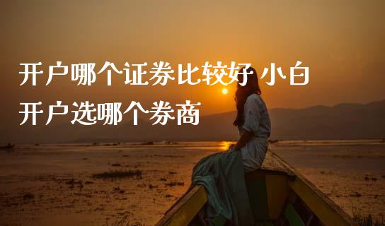 开户哪个证券比较好 小白开户选哪个券商