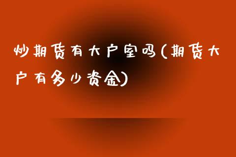 炒期货有大户室吗(期货大户有多少资金)