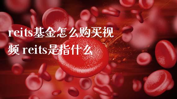 reits基金怎么购买视频 reits是指什么